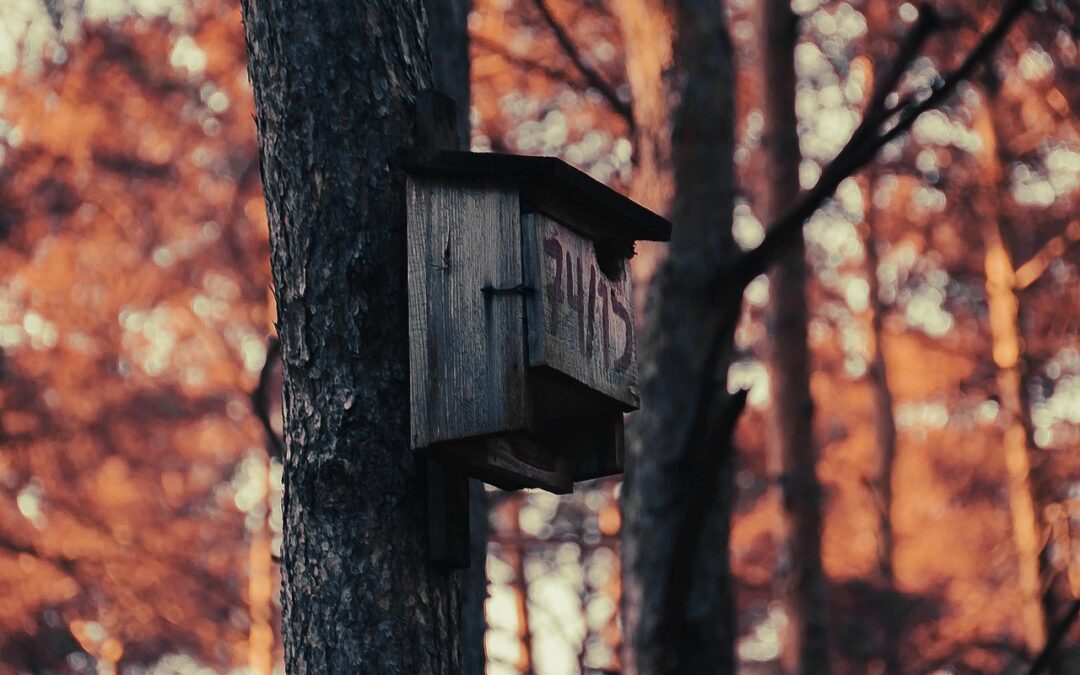 SALUS GROUP – szkolenia BHP, pierwsza pomoc i PPOŻ dla firm